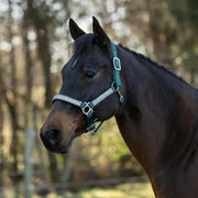 Reflective Nylon Halter with Textliene