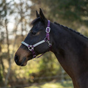 Reflective Nylon Halter with Textliene