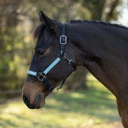 Reflective Nylon Halter with Textliene