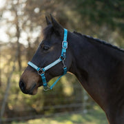 Reflective Nylon Halter with Textliene