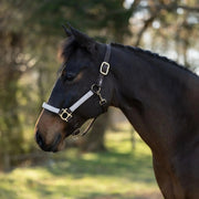 Reflective Nylon Halter with Textliene