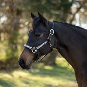 Reflective Breakaway Nylon Halter with Textliene