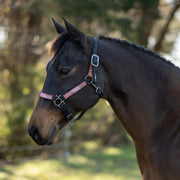 Reflective Breakaway Nylon Halter with Textliene