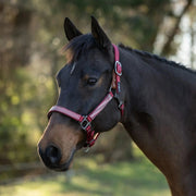 Reflective Breakaway Nylon Halter with Textliene