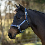 Reflective Breakaway Nylon Halter with Textliene