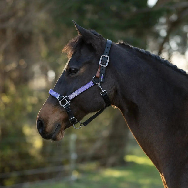 Reflective Breakaway Nylon Halter with Textliene