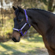 Reflective Breakaway Nylon Halter with Textliene