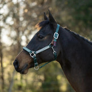 Reflective Breakaway Nylon Halter with Textliene