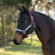 Reflective Breakaway Nylon Halter with Textliene