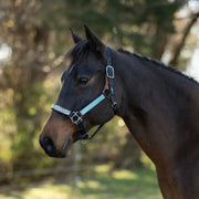 Reflective Breakaway Nylon Halter with Textliene