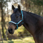 Reflective Breakaway Nylon Halter with Textliene