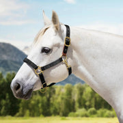 Reflective Breakaway Nylon Halter with Textliene