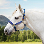 Reflective Breakaway Nylon Halter with Textliene