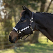 Reflective Breakaway Nylon Halter with Textliene