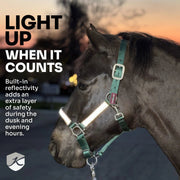 Reflective Nylon Halter with Textliene