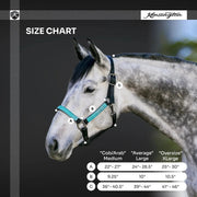 Reflective Nylon Halter with Textliene