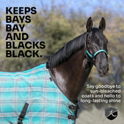 Draft Horse Protective Fly Sheet  - 73% UV Protection