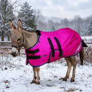 New 1200D Mini Donkey 80G Light Weight Winter Turnout Blanket - Waterproof & Breathable