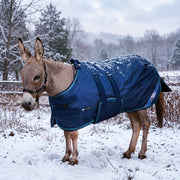 New 1200D Mini Donkey 300G Heavy Weight Winter Turnout Blanket - Waterproof & Breathable
