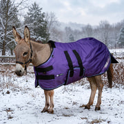 New 1200D Mini Donkey 180G Medium Weight Winter Turnout Blanket - Waterproof & Breathable