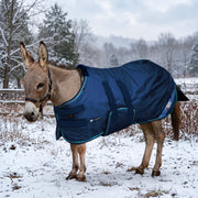 New 1200D Mini Donkey 80G Light Weight Winter Turnout Blanket - Waterproof & Breathable