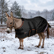 New 1200D Mini Donkey 180G Medium Weight Winter Turnout Blanket - Waterproof & Breathable