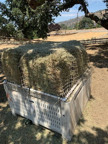 Ag Bin Net